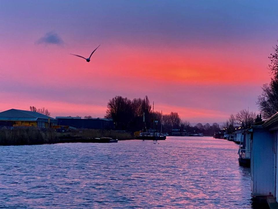 Kanaal met roze lucht