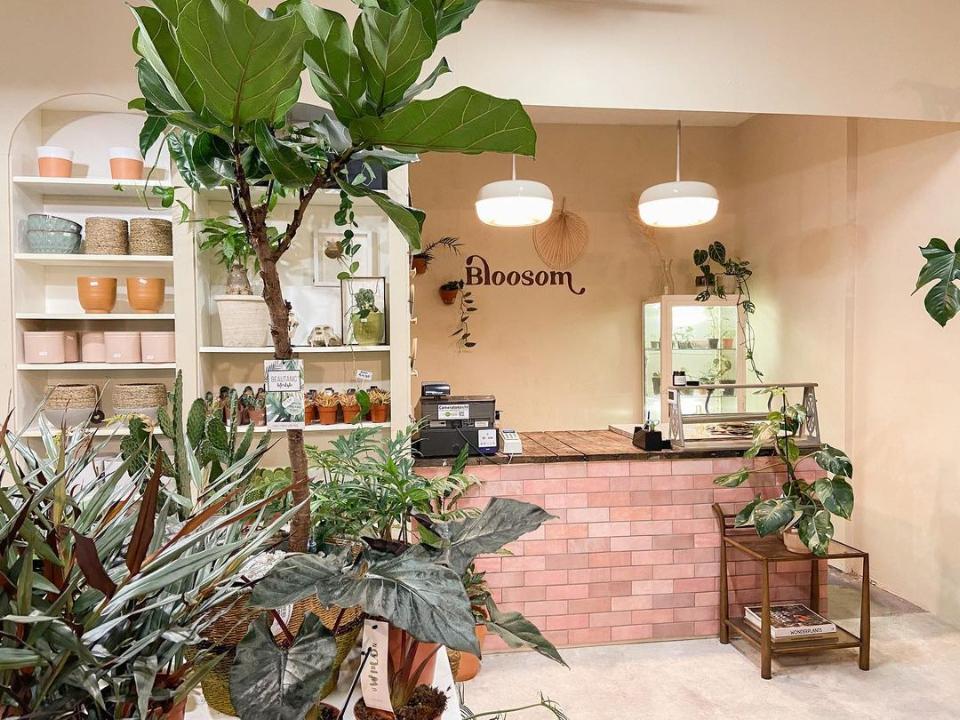binnen bij bloosem met planten en een roze interieur