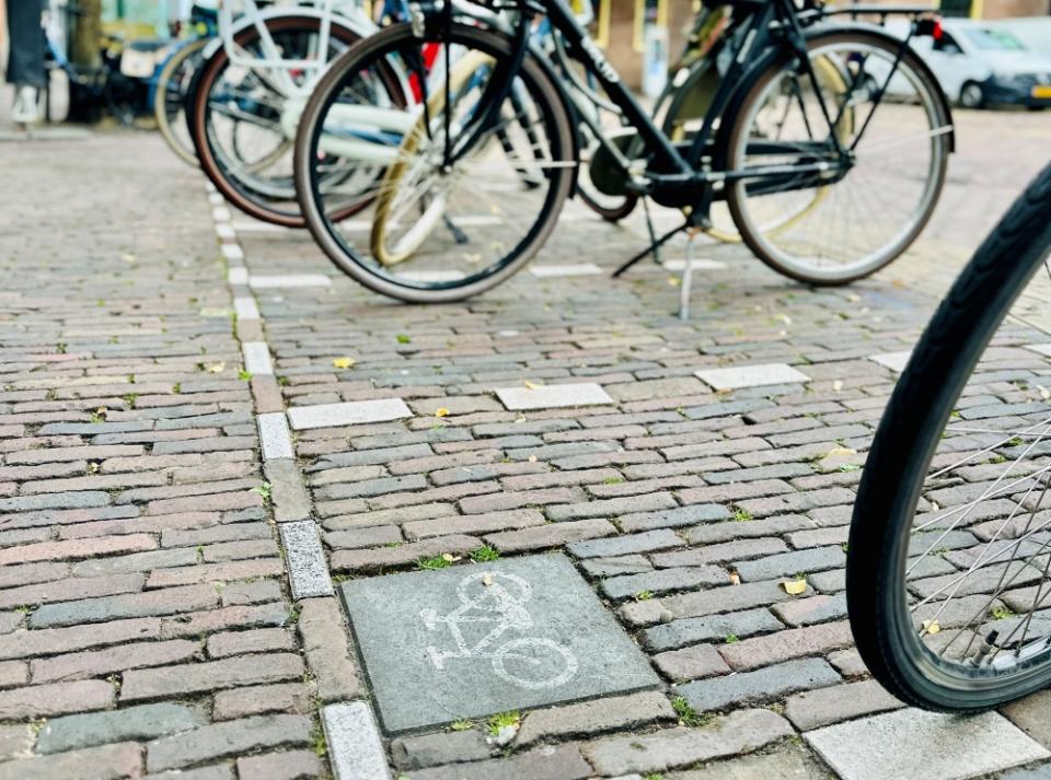 Fietsparkeervak in Alkmaar