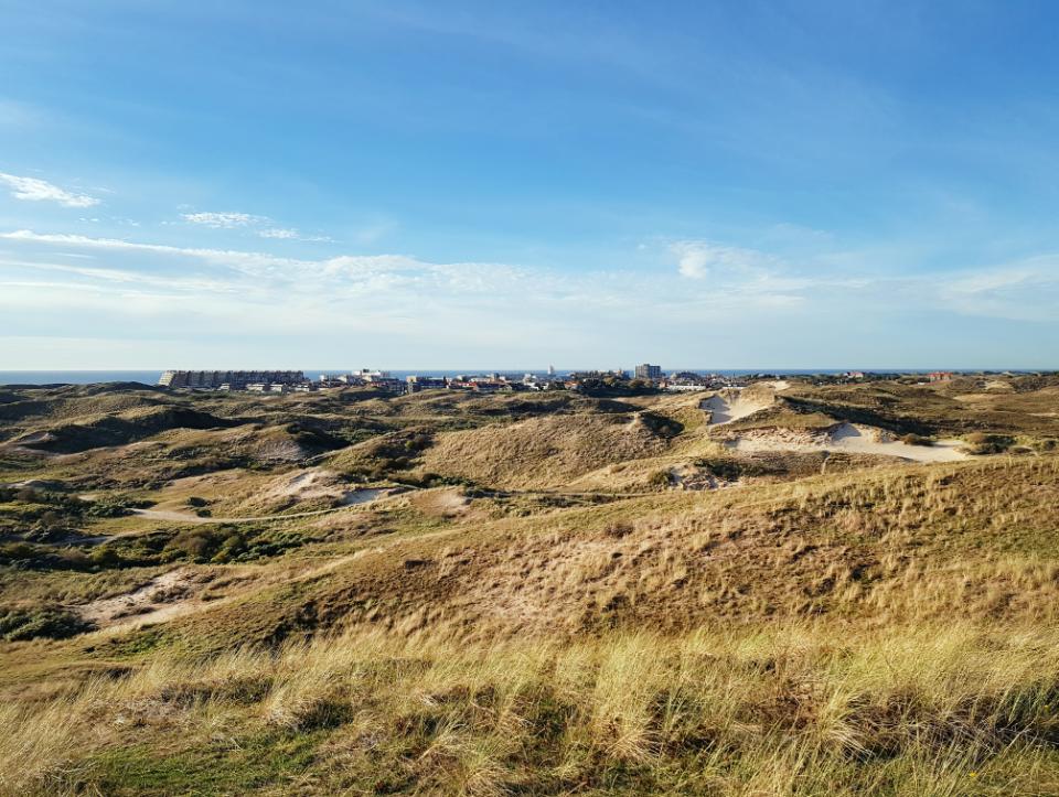 Duinen met blauwe lucht