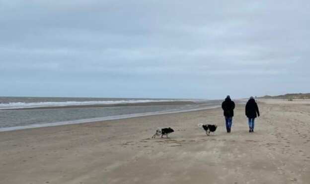 twee personen laten de hond uit op het strand