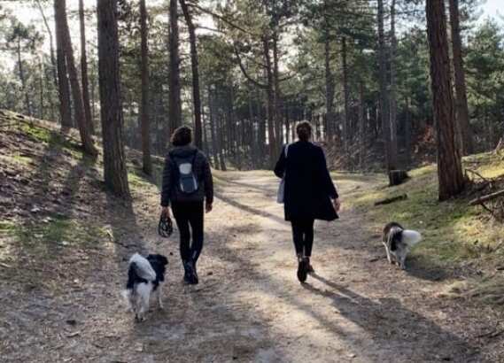 twee personen laten de hond uit in het bos met bospad