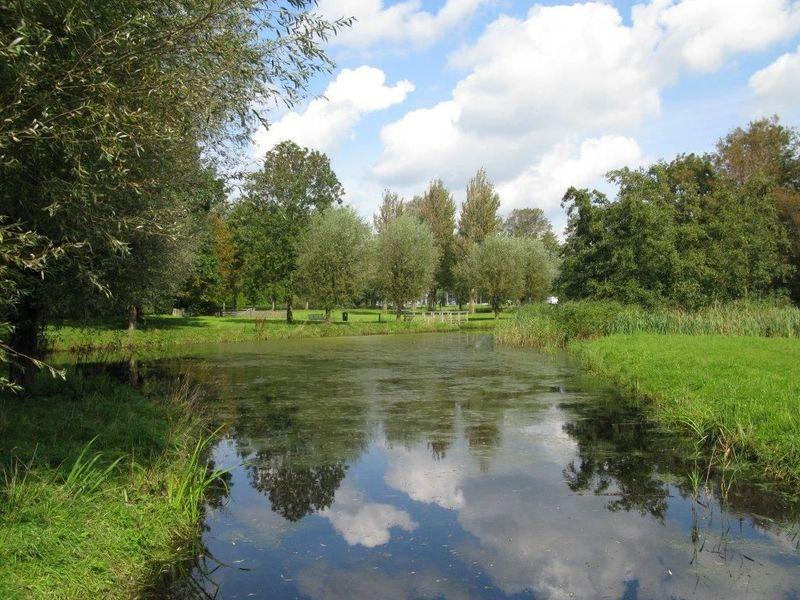 hondenpark met vijver in het midden