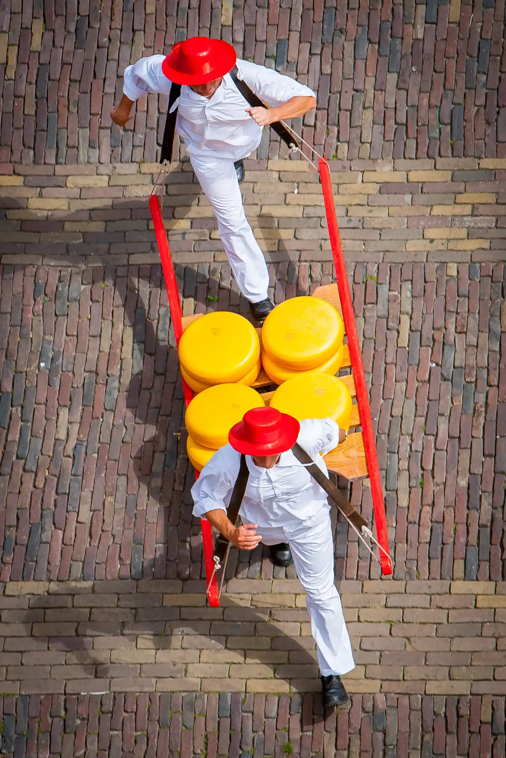 Kaasdragers met kaasberrie van bovenaf