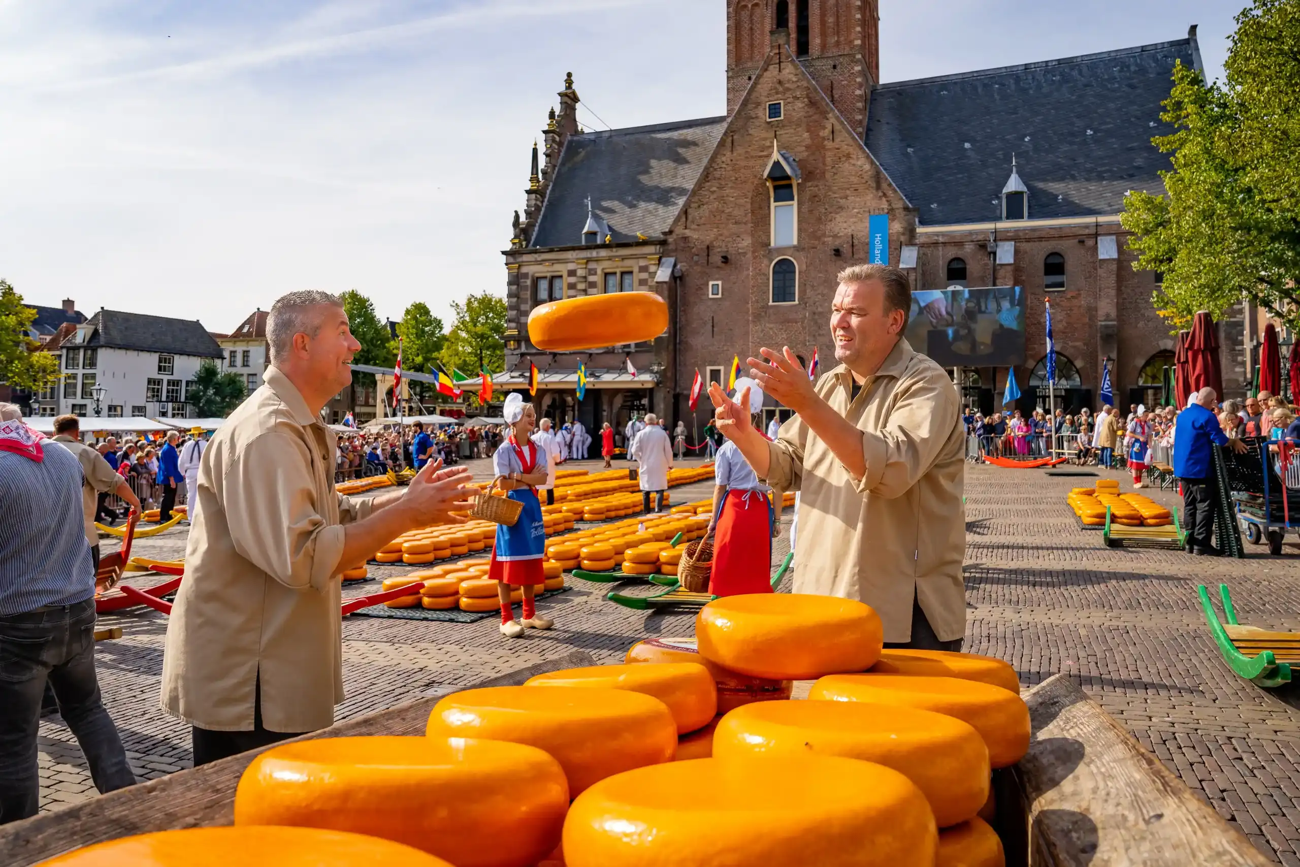 Werpers werpen een wiel kaas op de Kaasmarkt in Alkmaar