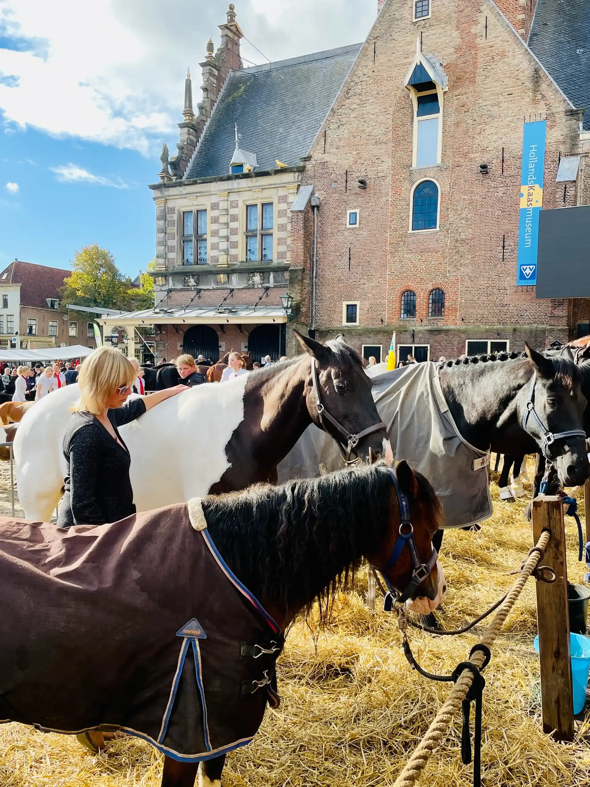 Drie paarden met Landbouwdag op het Waagplein met de Waagtoren op de achtergrond