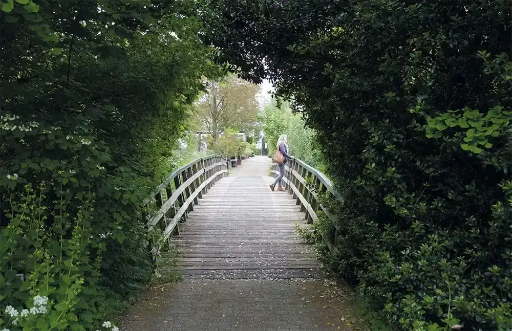 Brug bij Hortus Alkmaar