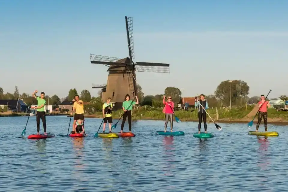 Groep suppen op kanaal met molen op de achtergrond