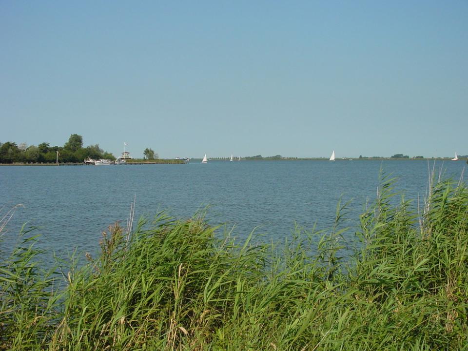 uitgeestermeer met riet op de voorgrond