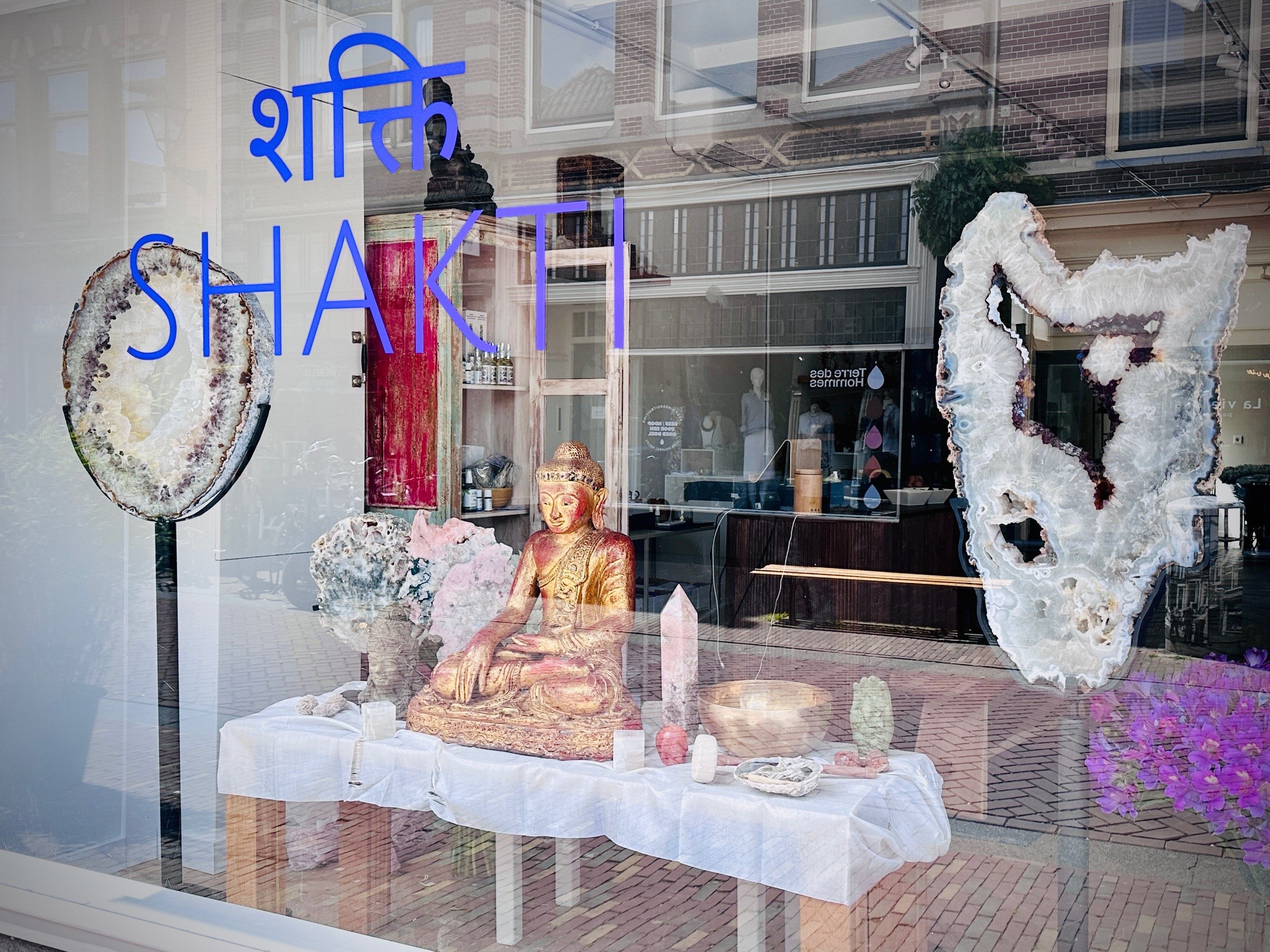 Etalageraam met logo van de winkel Shakti in Alkmaar