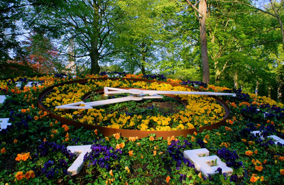 Bloemenklok met violen in Alkmaar