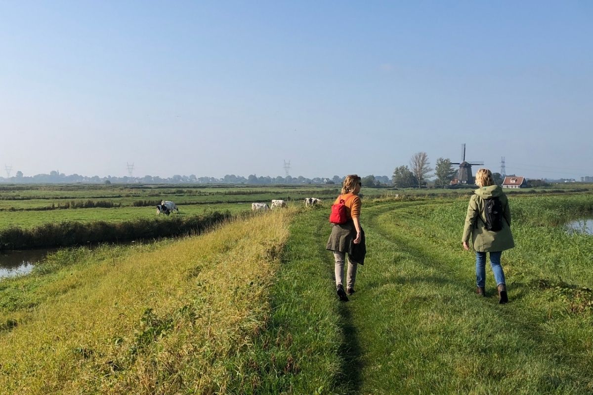 Two women walking through a meadow with cows and a windmill in the background