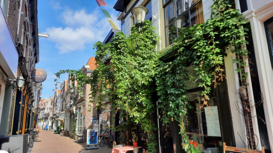 Hekelstraat in Alkmaar